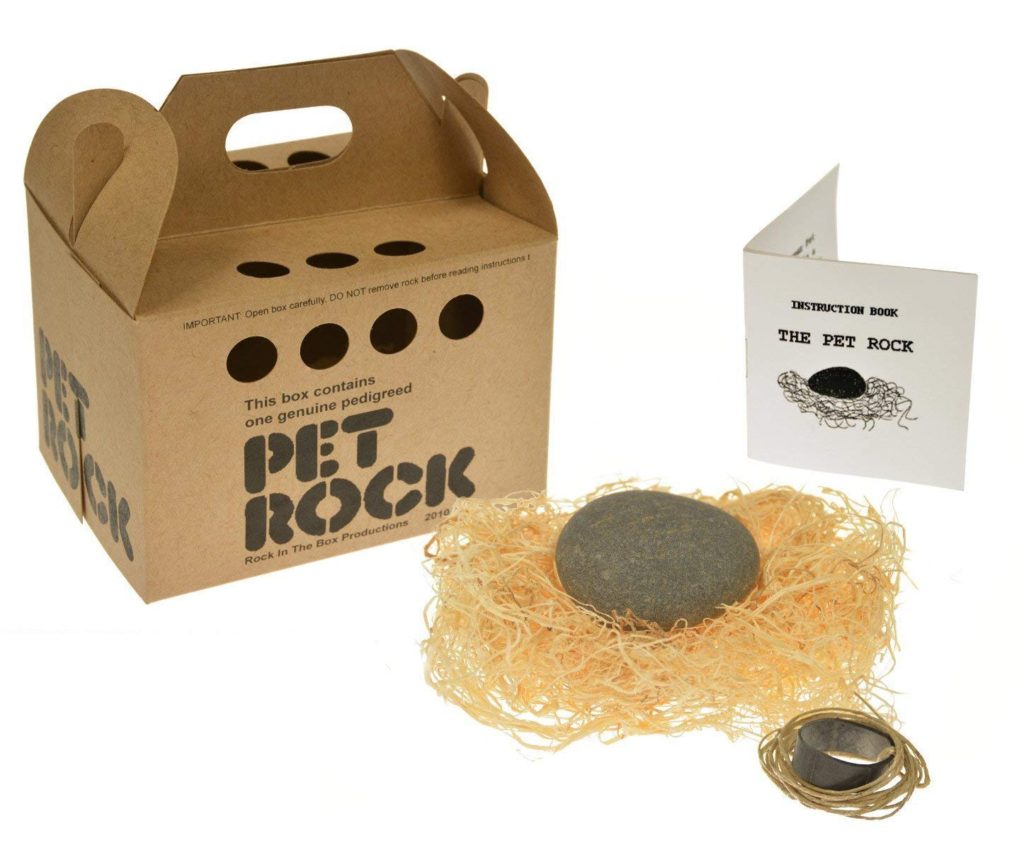 Pet Rock sau povestea pietrelor – despre improvizație în cotidian